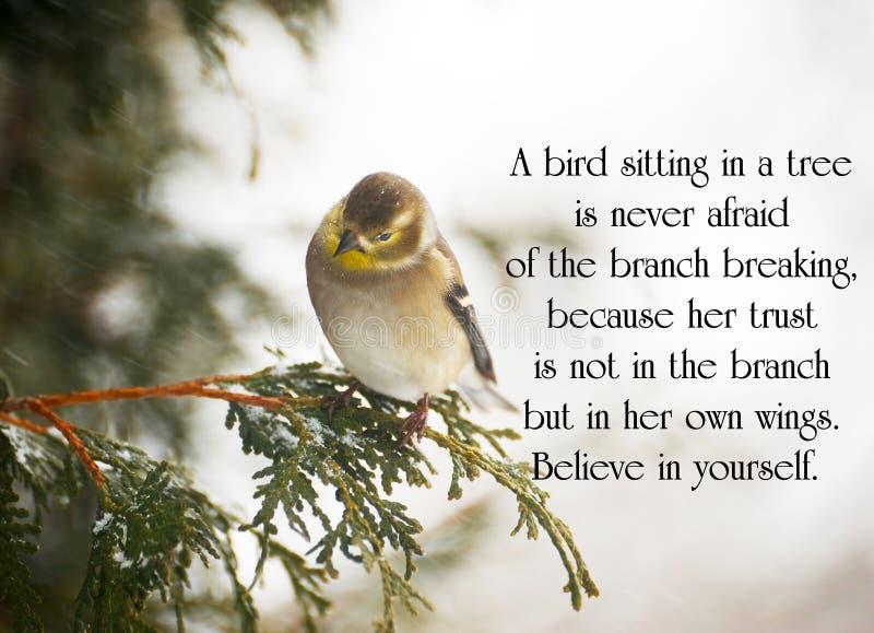 678513 - 120 Bird Inspirational Quotes