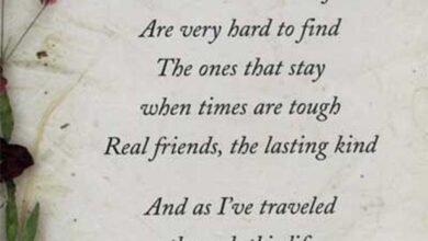120 Special Friendship Quotes For Her