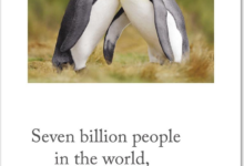 120 Family Reunion Quotes Funny