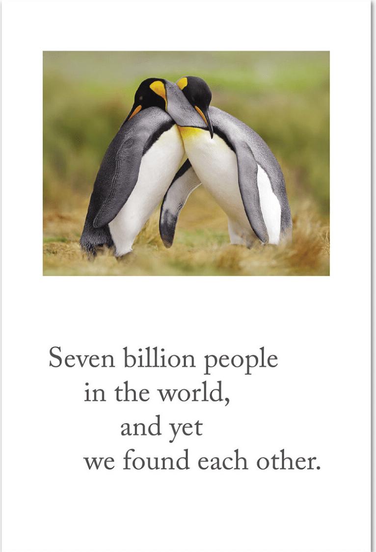 7608 120 family reunion quotes funny - 120 Family Competition Quotes