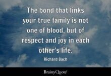 120 Quotes About Friendship Bonding