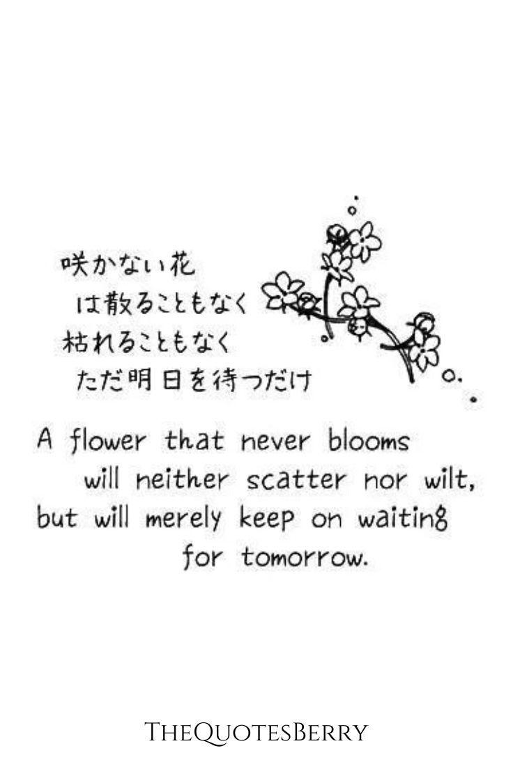 7742 120 japanese quotes about friendship - 120 Friendship Turns Into Love Quotes
