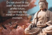 120 Buddha Quotes On Friendship