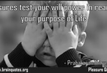 120 Reason Of Life Quotes