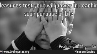 120 Reason Of Life Quotes