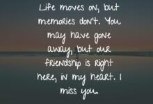 120 Missing Friendship Quotes