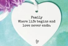 120 Quotes About Small Family