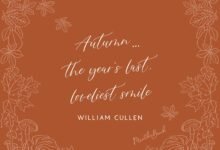 120 Fall Friendship Quotes