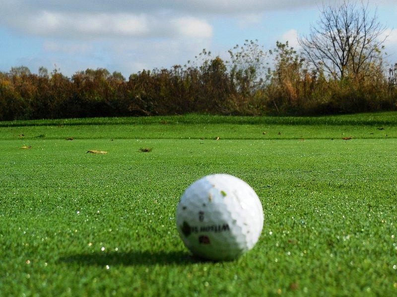 LmpwZw.jpg677802337d94d - 120 Golf Friendship Quotes