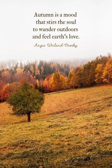 a mood - 120 Autumn Friendship Quotes