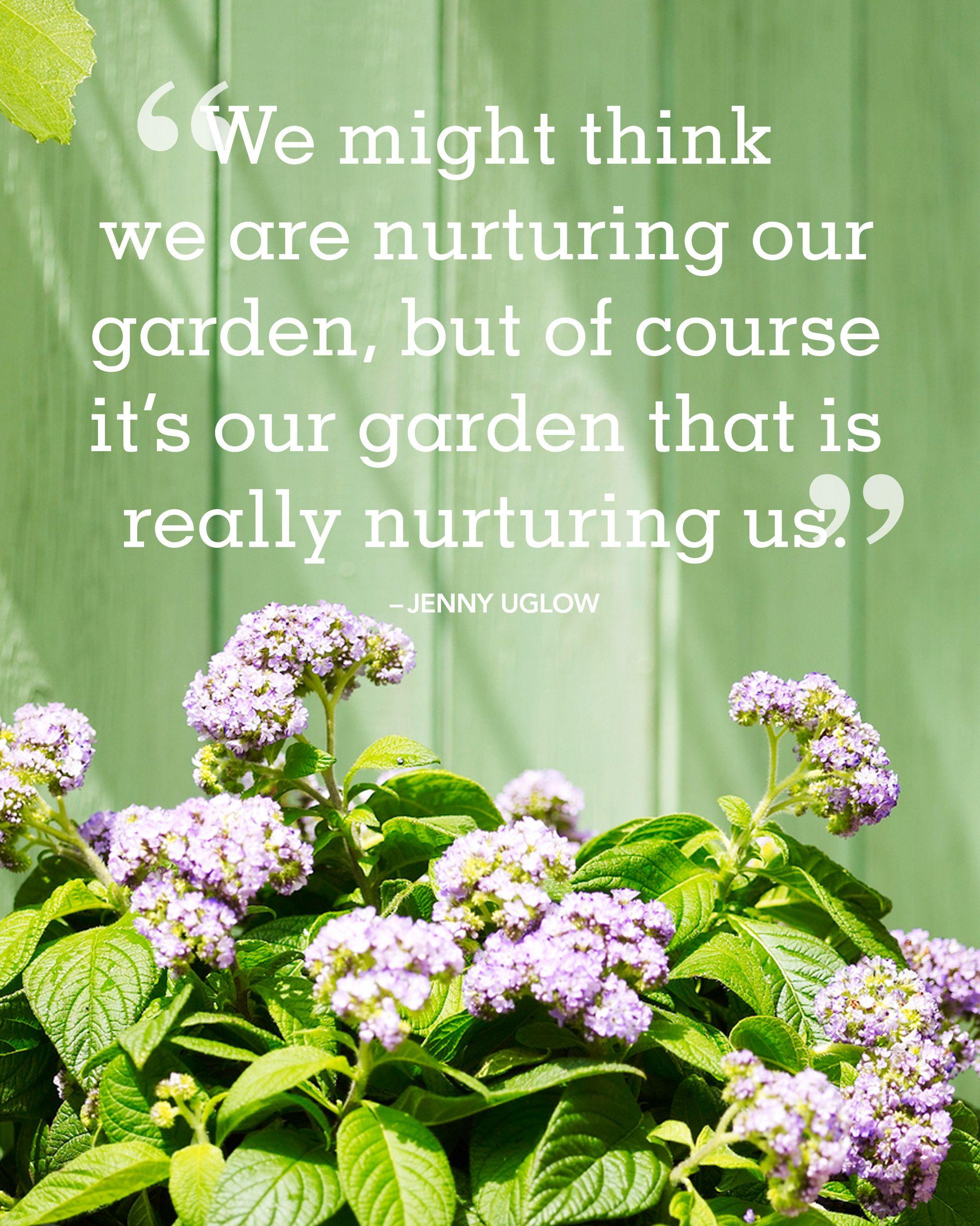 bd2efe - 120 Quotes About Gardening And Life