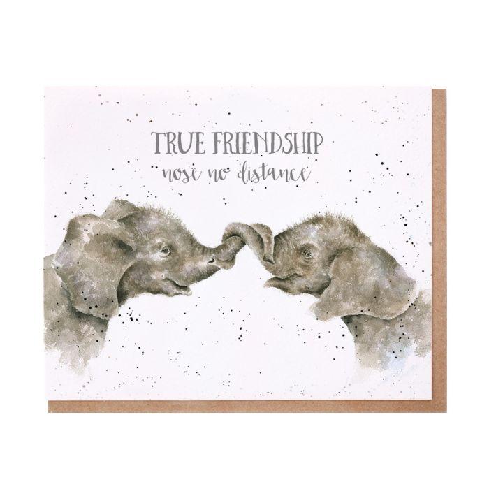 c147 1 - 120 Elephant Friendship Quotes