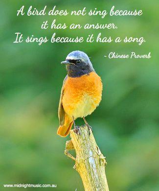 c3d526 - 120 Bird Inspirational Quotes