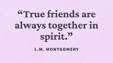 cfe3a1.jpg6d72 390x220 - 120 Friendship And Loyalty Quotes