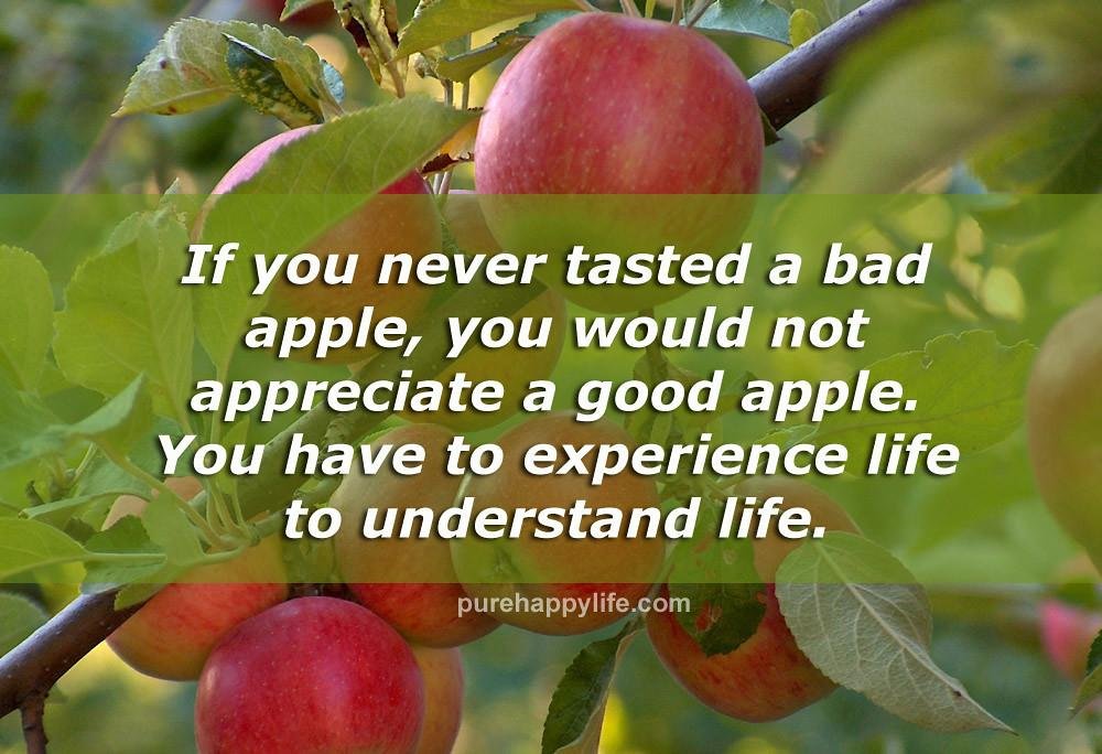 d42b b.jpg677e89b571472 - 120 Positive Life Road Quotes