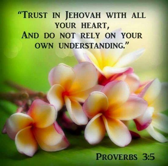 e81fca - 120 Jw Quotes About Friendship