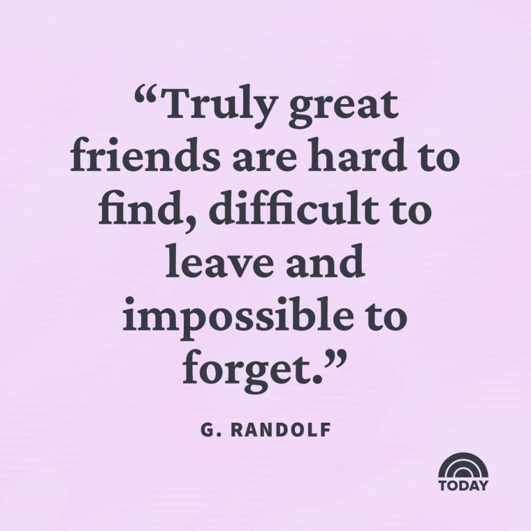 fcf26e.jpg6778ddf4b8016 - 120 Friendship Quotes Humorous