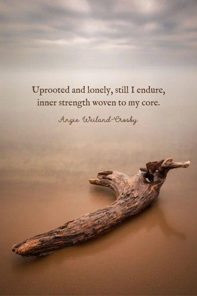 lonely - 120 Growth Quotes For Life