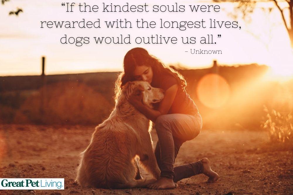 otes 2 - 120 Dog Friendship Quotes