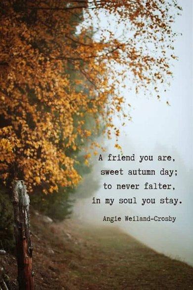 ou are - 120 Fall Friendship Quotes